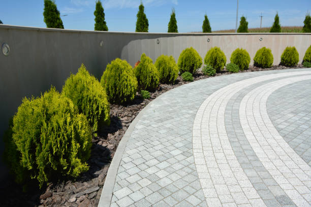 Reasons to Select Us for Your Driveway Paving Requirements in Clinton, LA